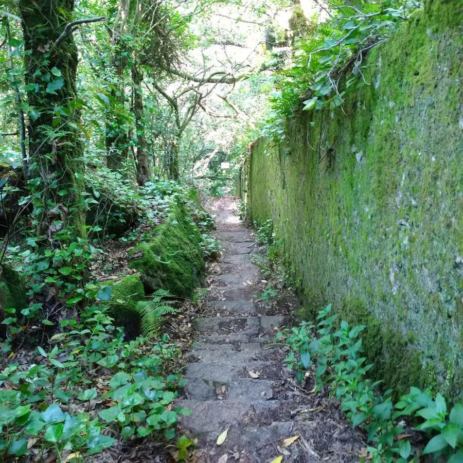 Villa Mucifal D Sintra Buitenkant foto